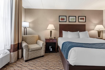 Room, 1 King Bed, Non Smoking