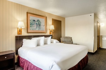 Room, 1 King Bed, Non Smoking, Jetted Tub