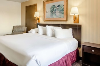 Room, 1 King Bed, Non Smoking, Jetted Tub