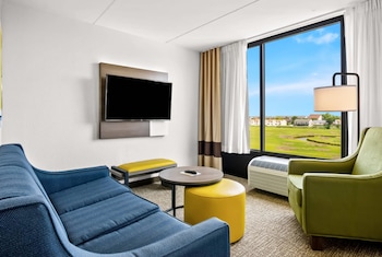 Suite, 1 King Bed with Sofa bed, Non Smoking