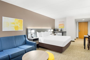 Standard Room, 1 King Bed with Sofa bed, Non Smoking