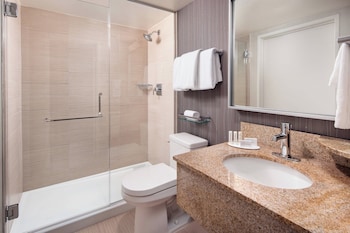 Suite, 1 King Bed with Sofa bed (Hearing Accessible)