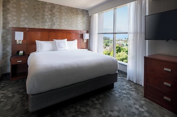 Suite, 1 King Bed with Sofa bed (Hearing Accessible)