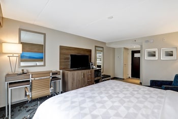 Standard Room, 1 King Bed (Walk-In Shower)