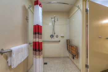 Superior Room, 1 King Bed, Accessible, Non Smoking (Roll-In Shower)