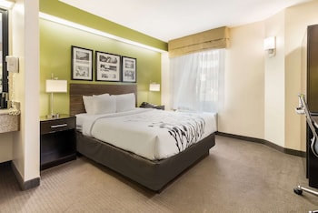 Standard Room, 1 Queen Bed, Non Smoking