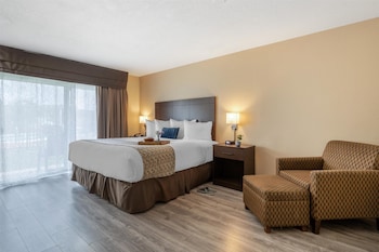 Standard Room, 1 King Bed, Non Smoking, Patio