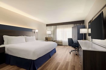 Room, 1 King Bed, Accessible, Non Smoking (Roll-In Shower)