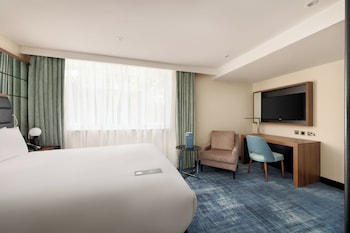 Room, 1 Bedroom