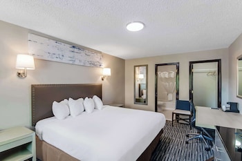 Room, 1 King Bed, Non Smoking