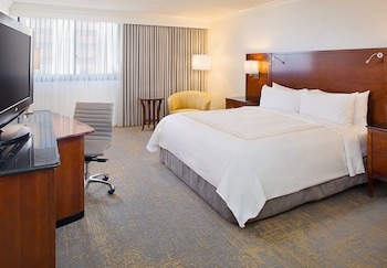 Room, 1 King Bed