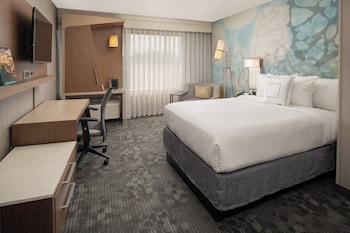 Standard Room, 1 Double Bed (Mobility/Hearing Access, Roll-in Shwr)