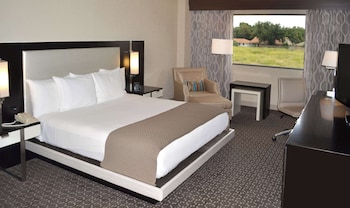 Room, 1 King Bed