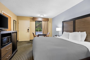 Room, 1 King Bed, Accessible, Non Smoking