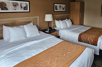 Room, 2 Queen Beds, Non Smoking