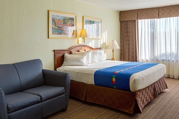 Room, 1 King Bed, Non Smoking