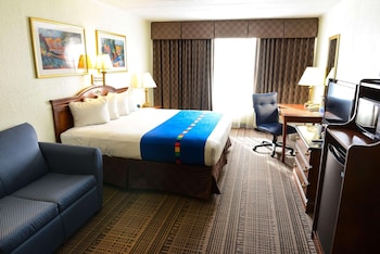 Room, 1 King Bed, Non Smoking