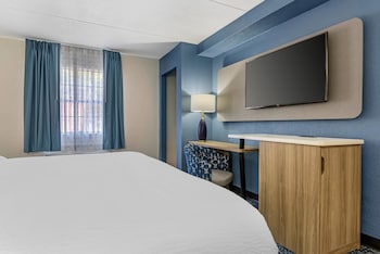 Suite, 1 King Bed, Non Smoking (Efficiency)