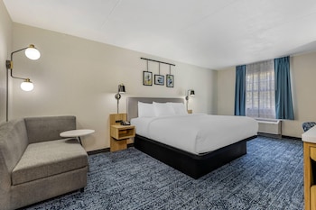 Room, 1 King Bed, Non Smoking (Efficiency)