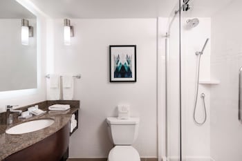 Room, 1 King Bed, Mountain View