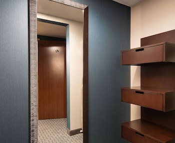 Room, 1 King Bed, Mountain View