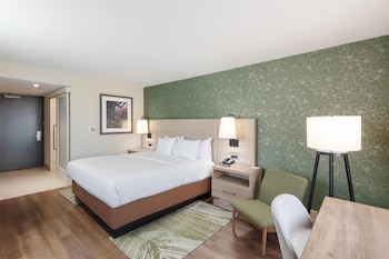 Room, 1 King Bed