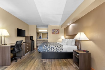 Standard Room, 1 King Bed, Smoking