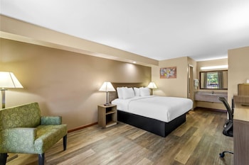 Standard Room, 1 King Bed, Non Smoking
