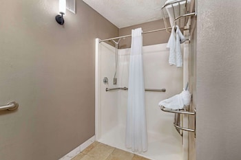 Standard Room, 1 King Bed, Accessible, Non Smoking