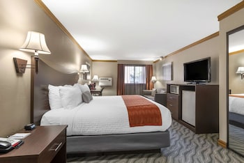 Standard Room, 1 King Bed, Non Smoking, Refrigerator & Microwave (Walk-in Shower;with Sofabed)