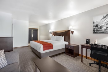 Standard Room, 1 King Bed, Non Smoking, Balcony (Walk-in Shower;Larger Room)