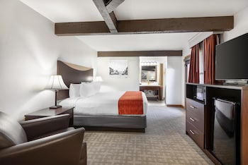 Standard Room, 1 King Bed, Non Smoking, Refrigerator & Microwave (Walk-in Shower;with Sofabed)