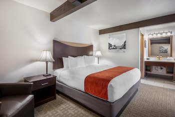 Standard Room, 1 King Bed, Non Smoking, Refrigerator & Microwave (Walk-in Shower;with Sofabed)