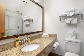 Suite, 1 King Bed, Non Smoking, Balcony (Walk-in Shower;with Sofabed)