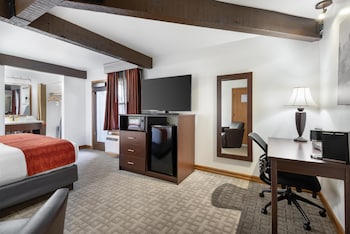 Standard Room, 1 King Bed, Non Smoking, Refrigerator & Microwave (Walk-in Shower;with Sofabed)