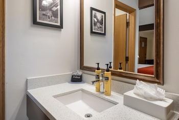 Standard Room, 1 King Bed, Non Smoking, Refrigerator & Microwave (Walk-in Shower;with Sofabed)