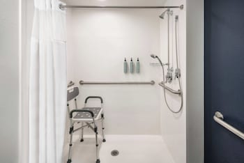 Suite, 1 Bedroom, Non Smoking, City View (Mobility/Hearing Access, Roll-in Shwr)