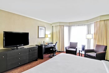 Room, 1 King Bed