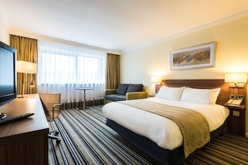 Standard Room, 1 King Bed with Sofa bed