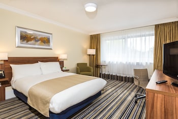 Standard Room, 1 King Bed with Sofa bed