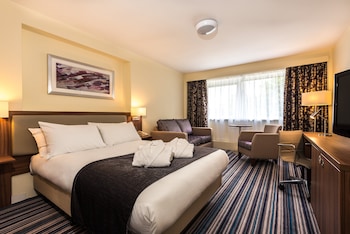 Premium Room, 1 Double Bed