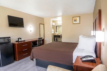 Room, 1 King Bed, Non Smoking