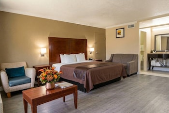 Suite, 1 King Bed, Non Smoking (Upgrade)