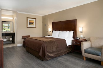 Room, 1 King Bed, Non Smoking