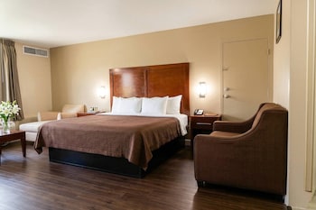 Suite, 1 King Bed, Non Smoking (Upgrade)