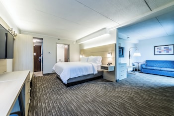Suite, 1 King Bed with Sofa bed
