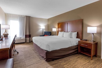 Standard Room, 1 King Bed, Non Smoking