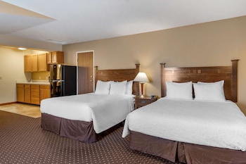Standard Room, Multiple Beds, Non Smoking, Refrigerator & Microwave (with Sofabed)