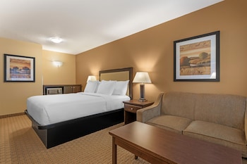 Standard Room, 1 Queen Bed, Accessible, Refrigerator & Microwave (Walk-in Shower)