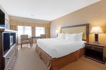 Standard Room, 1 Queen Bed, Accessible, Refrigerator & Microwave (Walk-in Shower)